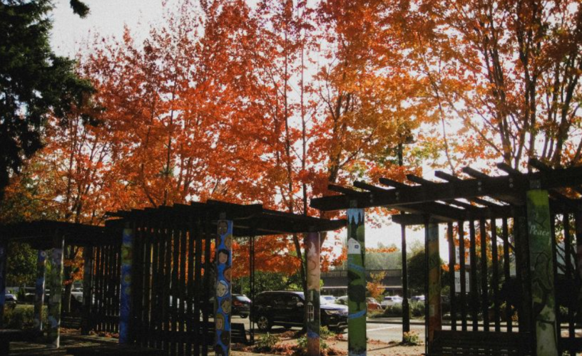 K12 school campus in autumn encouraging alumni to give back to their alma mater