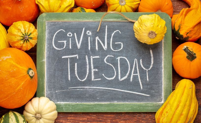 Giving Tuesday fundraising campaign for K12 alumni donations during Thanksgiving season