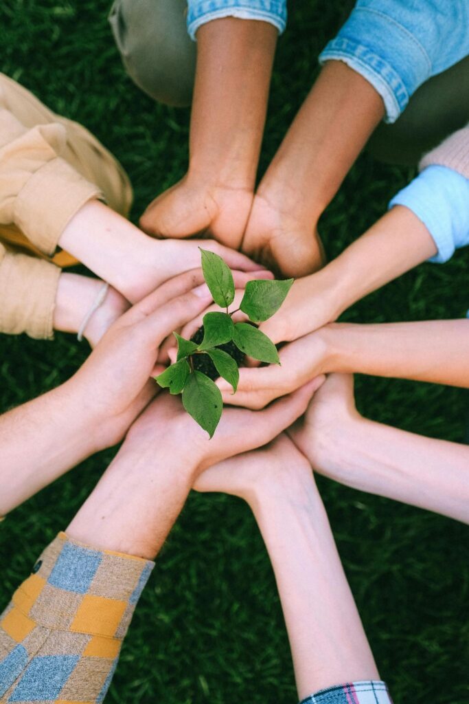 Hands together in the middle holding a plant
